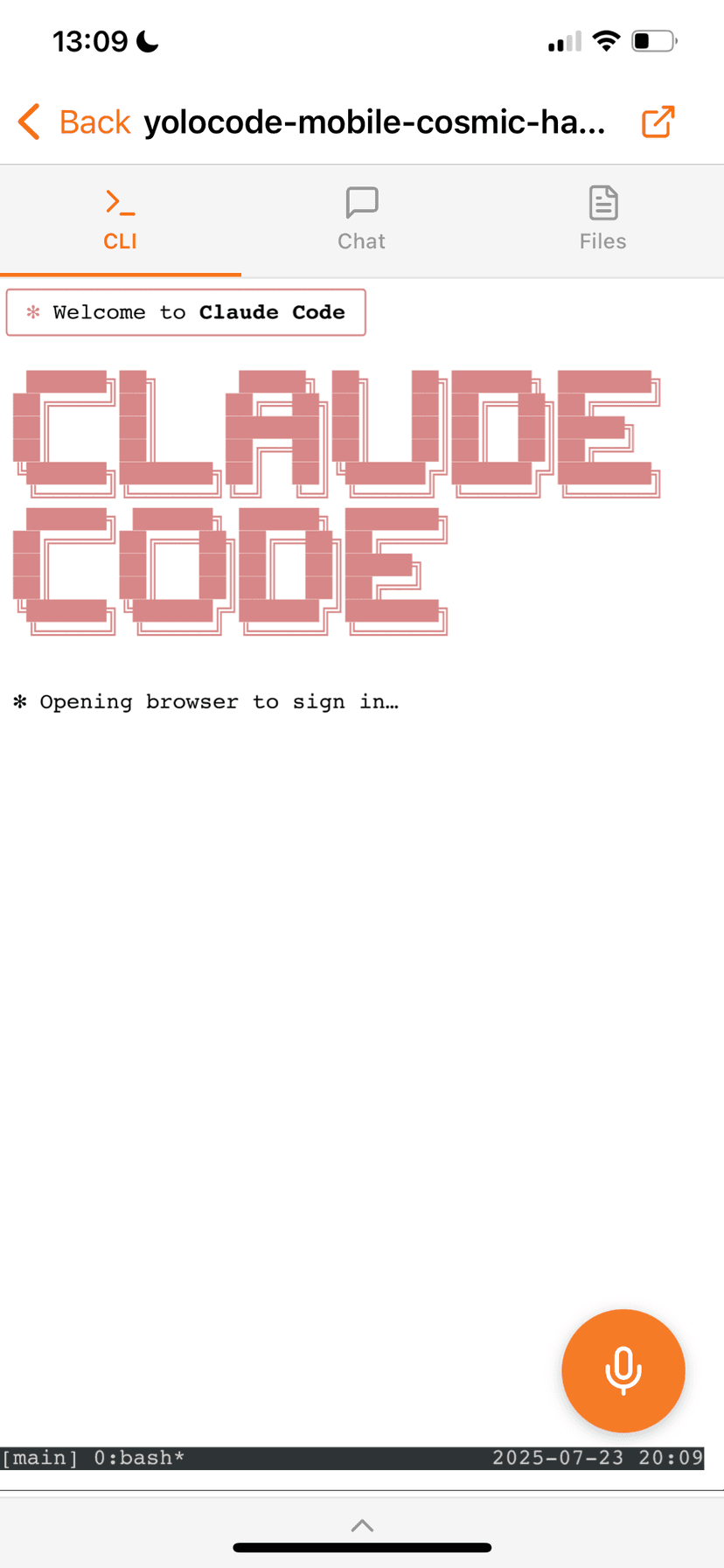 Claude Code Interface